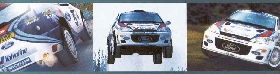 Enter to the world of rally